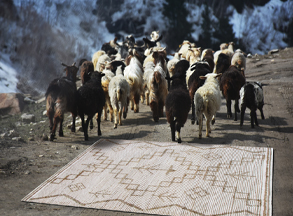 tapis en laine motifs indiens